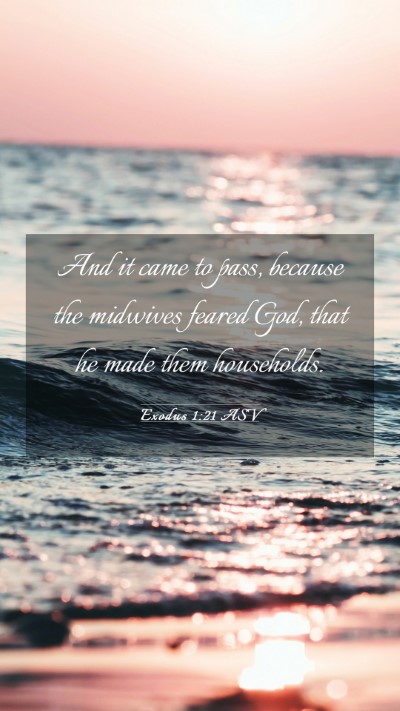 Picture 03 - Exodus 1:21 ASV Mobile Phone Wallpaper - And it came to pass, because the midwives feared - Mobile Bible Verse Wallpaper