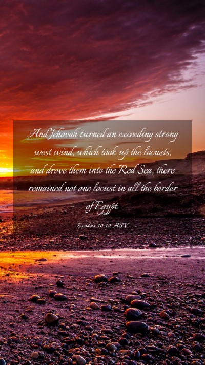 Picture 03 - Exodus 10:19 ASV Mobile Phone Wallpaper - And Jehovah turned an exceeding strong west wind, - Mobile Bible Verse Wallpaper