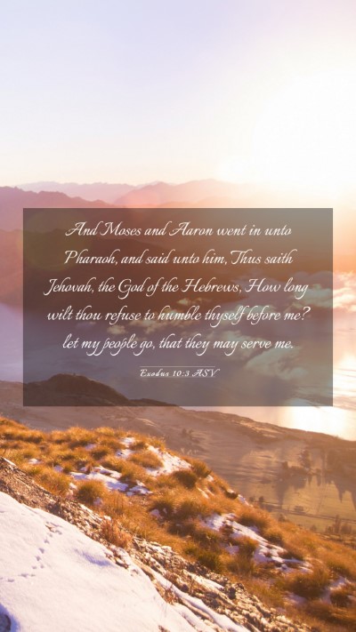 Picture 03 - Exodus 10:3 ASV Mobile Phone Wallpaper - And Moses and Aaron went in unto Pharaoh, and - Mobile Bible Verse Wallpaper