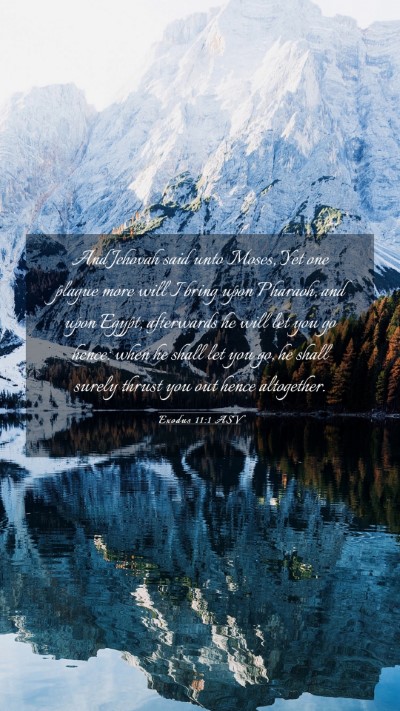 Picture 03 - Exodus 11:1 ASV Mobile Phone Wallpaper - And Jehovah said unto Moses, Yet one plague more - Mobile Bible Verse Wallpaper