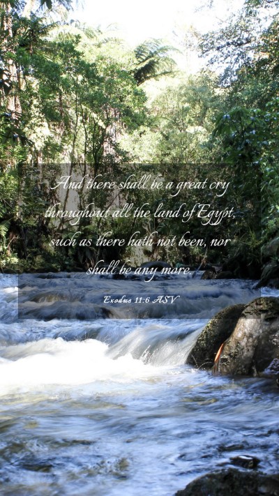 Picture 03 - Exodus 11:6 ASV Mobile Phone Wallpaper - And there shall be a great cry throughout all the - Mobile Bible Verse Wallpaper