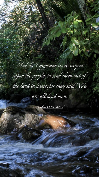 Picture 03 - Exodus 12:33 ASV Mobile Phone Wallpaper - And the Egyptians were urgent upon the people, to - Mobile Bible Verse Wallpaper