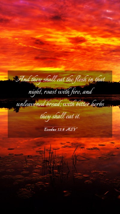 Picture 03 - Exodus 12:8 ASV Mobile Phone Wallpaper - And they shall eat the flesh in that night, roast - Mobile Bible Verse Wallpaper