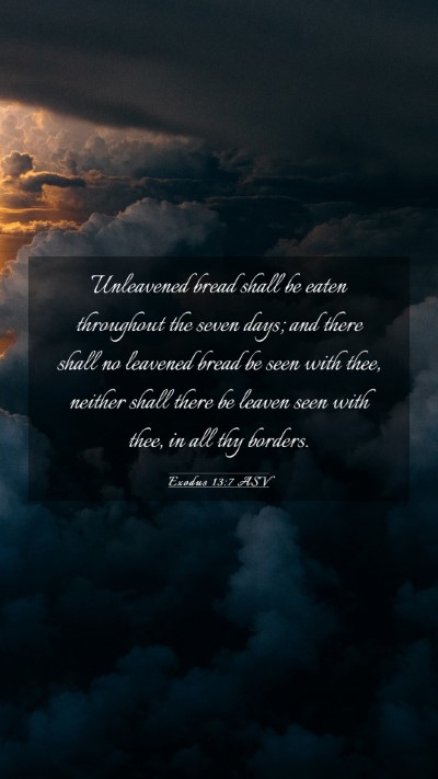 Picture 03 - Exodus 13:7 ASV Mobile Phone Wallpaper - Unleavened bread shall be eaten throughout the - Mobile Bible Verse Wallpaper