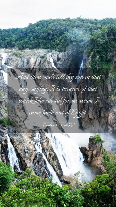 Picture 03 - Exodus 13:8 ASV Mobile Phone Wallpaper - And thou shalt tell thy son in that day, saying, - Mobile Bible Verse Wallpaper