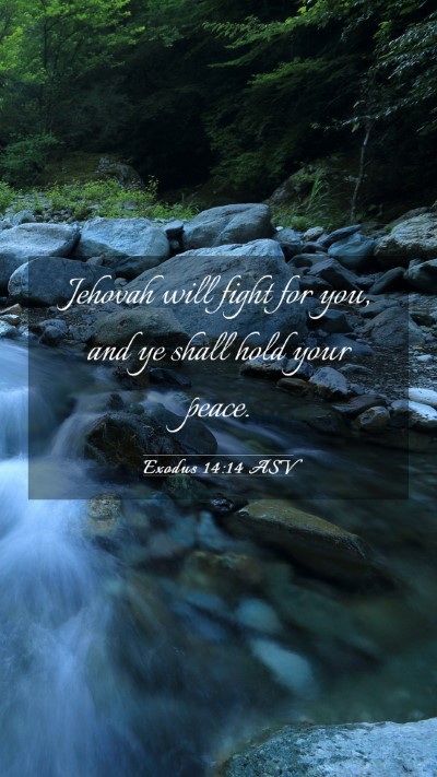 Picture 03 - Exodus 14:14 ASV Mobile Phone Wallpaper - Jehovah will fight for you, and ye shall hold - Mobile Bible Verse Wallpaper