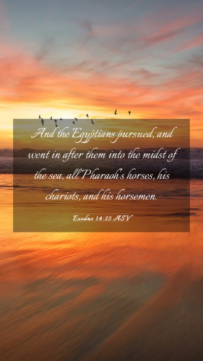 Picture 03 - Exodus 14:23 ASV Mobile Phone Wallpaper - And the Egyptians pursued, and went in after them - Mobile Bible Verse Wallpaper