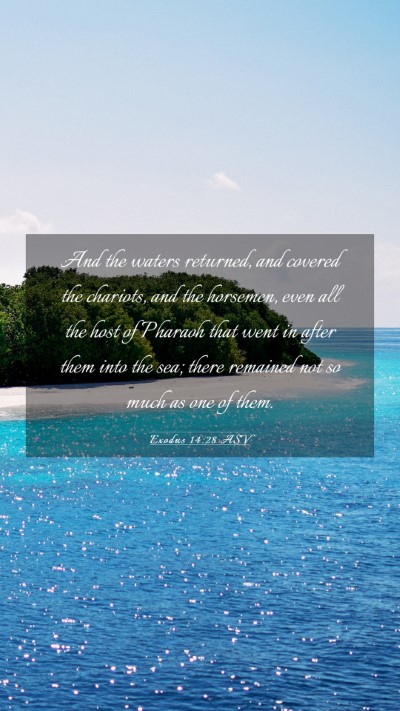 Picture 03 - Exodus 14:28 ASV Mobile Phone Wallpaper - And the waters returned, and covered the - Mobile Bible Verse Wallpaper