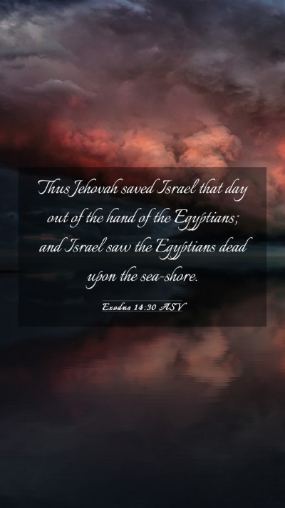 Picture 03 - Exodus 14:30 ASV Mobile Phone Wallpaper - Thus Jehovah saved Israel that day out of the - Mobile Bible Verse Wallpaper