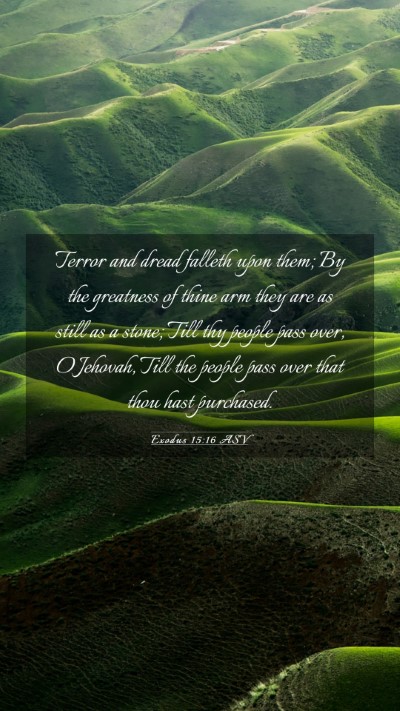 Picture 03 - Exodus 15:16 ASV Mobile Phone Wallpaper - Terror and dread falleth upon them; By the - Mobile Bible Verse Wallpaper