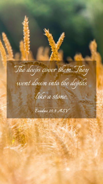 Picture 03 - Exodus 15:5 ASV Mobile Phone Wallpaper - The deeps cover them: They went down into the - Mobile Bible Verse Wallpaper