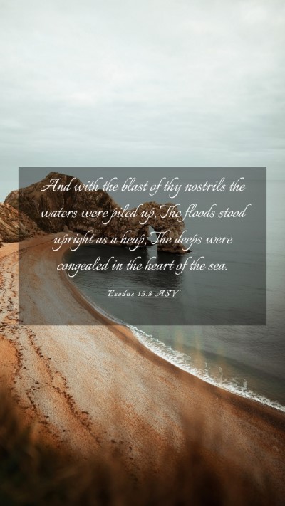 Picture 03 - Exodus 15:8 ASV Mobile Phone Wallpaper - And with the blast of thy nostrils the waters - Mobile Bible Verse Wallpaper