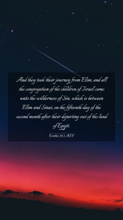 Picture 03 - Exodus 16:1 ASV Mobile Phone Wallpaper - And they took their journey from Elim, and all - Mobile Bible Verse Wallpaper