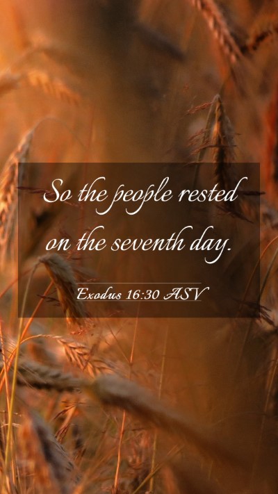Picture 03 - Exodus 16:30 ASV Mobile Phone Wallpaper - So the people rested on the seventh - Mobile Bible Verse Wallpaper