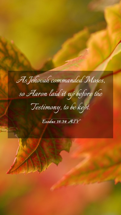 Picture 03 - Exodus 16:34 ASV Mobile Phone Wallpaper - As Jehovah commanded Moses, so Aaron laid it up - Mobile Bible Verse Wallpaper