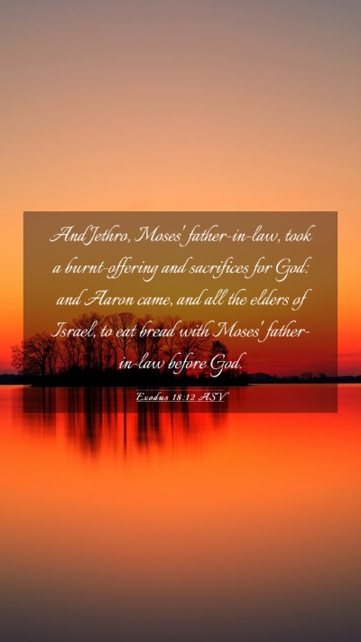 Picture 03 - Exodus 18:12 ASV Mobile Phone Wallpaper - And Jethro, Moses' father-in-law, took a - Mobile Bible Verse Wallpaper