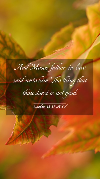 Picture 03 - Exodus 18:17 ASV Mobile Phone Wallpaper - And Moses' father-in-law said unto him, The thing - Mobile Bible Verse Wallpaper