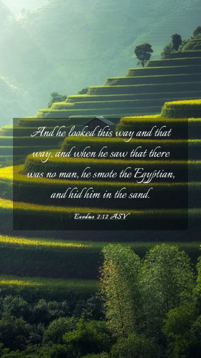 Picture 03 - Exodus 2:12 ASV Mobile Phone Wallpaper - And he looked this way and that way, and when he - Mobile Bible Verse Wallpaper