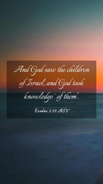 Picture 03 - Exodus 2:25 ASV Mobile Phone Wallpaper - And God saw the children of Israel, and God took - Mobile Bible Verse Wallpaper