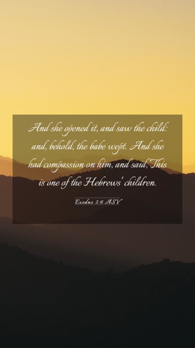 Picture 03 - Exodus 2:6 ASV Mobile Phone Wallpaper - And she opened it, and saw the child: and, - Mobile Bible Verse Wallpaper