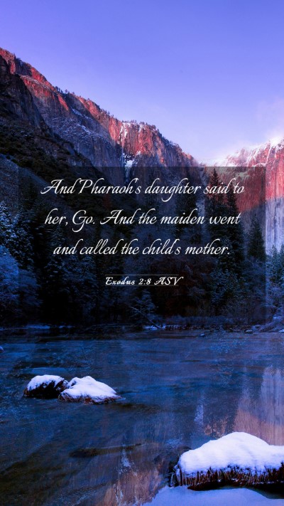 Picture 03 - Exodus 2:8 ASV Mobile Phone Wallpaper - And Pharaoh's daughter said to her, Go. And the - Mobile Bible Verse Wallpaper