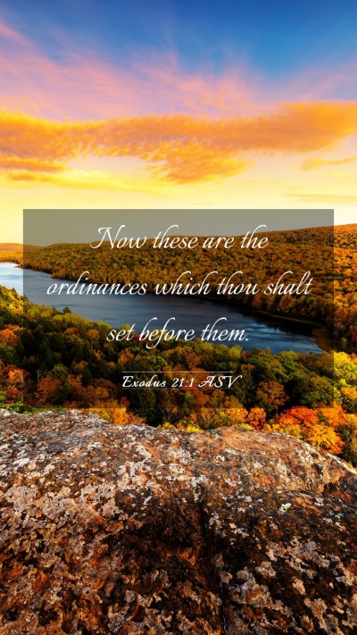 Picture 03 - Exodus 21:1 ASV Mobile Phone Wallpaper - Now these are the ordinances which thou shalt set - Mobile Bible Verse Wallpaper