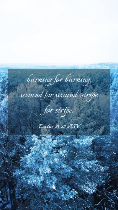 Picture 03 - Exodus 21:25 ASV Mobile Phone Wallpaper - burning for burning, wound for wound, stripe for - Mobile Bible Verse Wallpaper