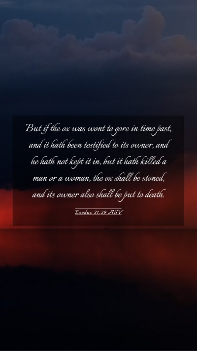 Picture 03 - Exodus 21:29 ASV Mobile Phone Wallpaper - But if the ox was wont to gore in time past, and - Mobile Bible Verse Wallpaper