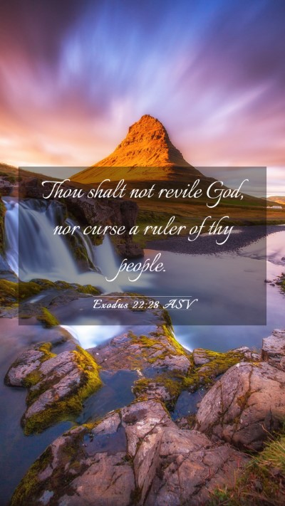 Picture 03 - Exodus 22:28 ASV Mobile Phone Wallpaper - Thou shalt not revile God, nor curse a ruler of - Mobile Bible Verse Wallpaper