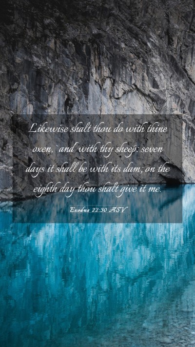 Picture 03 - Exodus 22:30 ASV Mobile Phone Wallpaper - Likewise shalt thou do with thine oxen, `and' - Mobile Bible Verse Wallpaper