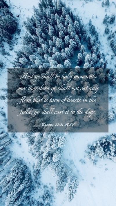 Picture 03 - Exodus 22:31 ASV Mobile Phone Wallpaper - And ye shall be holy men unto me: therefore ye - Mobile Bible Verse Wallpaper