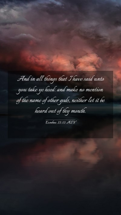 Picture 03 - Exodus 23:13 ASV Mobile Phone Wallpaper - And in all things that I have said unto you take - Mobile Bible Verse Wallpaper