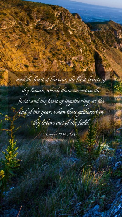 Picture 03 - Exodus 23:16 ASV Mobile Phone Wallpaper - and the feast of harvest, the first-fruits of thy - Mobile Bible Verse Wallpaper