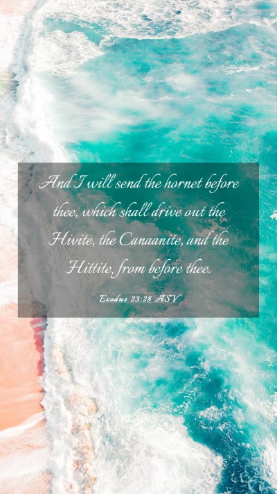 Picture 03 - Exodus 23:28 ASV Mobile Phone Wallpaper - And I will send the hornet before thee, which - Mobile Bible Verse Wallpaper