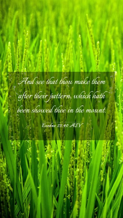 Picture 03 - Exodus 25:40 ASV Mobile Phone Wallpaper - And see that thou make them after their pattern, - Mobile Bible Verse Wallpaper