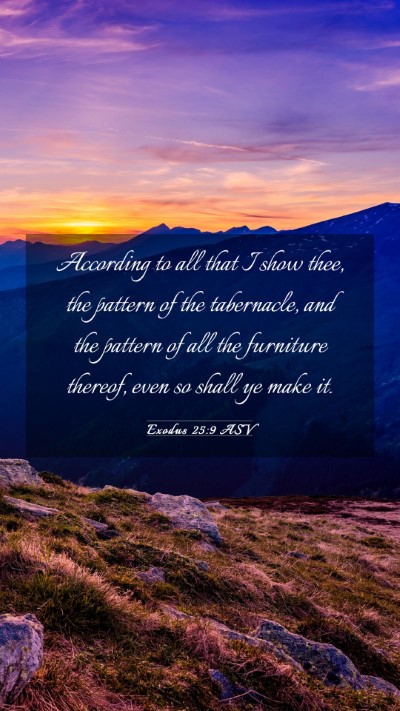 Picture 03 - Exodus 25:9 ASV Mobile Phone Wallpaper - According to all that I show thee, the pattern of - Mobile Bible Verse Wallpaper