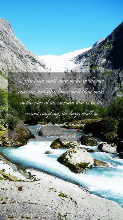 Picture 03 - Exodus 26:5 ASV Mobile Phone Wallpaper - Fifty loops shalt thou make in the one curtain, - Mobile Bible Verse Wallpaper