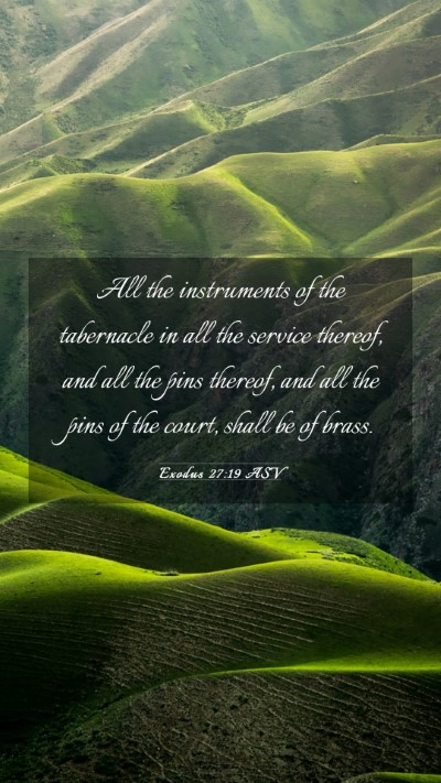 Picture 03 - Exodus 27:19 ASV Mobile Phone Wallpaper - All the instruments of the tabernacle in all the - Mobile Bible Verse Wallpaper