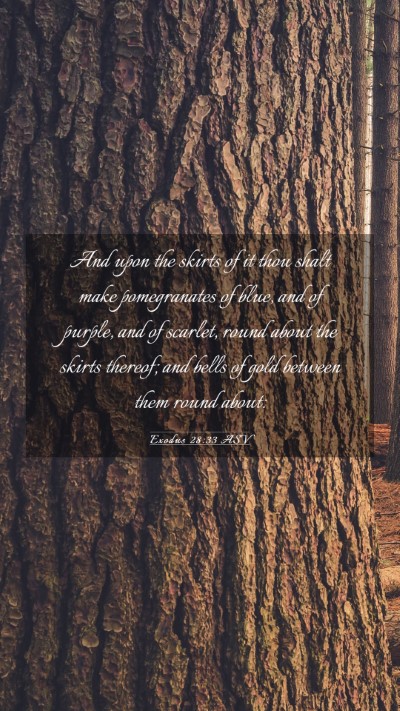 Picture 03 - Exodus 28:33 ASV Mobile Phone Wallpaper - And upon the skirts of it thou shalt make - Mobile Bible Verse Wallpaper