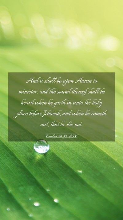 Picture 03 - Exodus 28:35 ASV Mobile Phone Wallpaper - And it shall be upon Aaron to minister: and the - Mobile Bible Verse Wallpaper