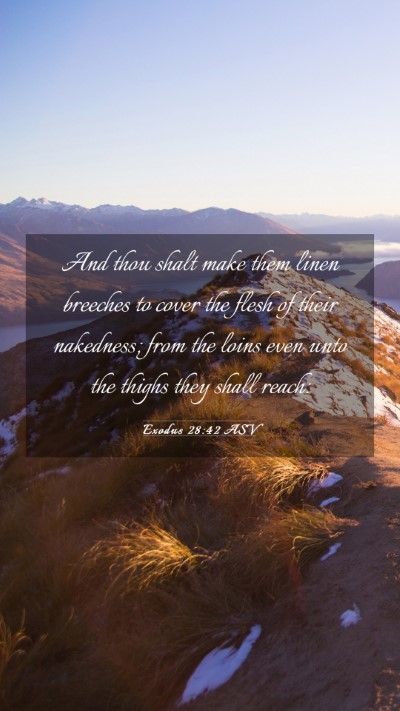 Picture 03 - Exodus 28:42 ASV Mobile Phone Wallpaper - And thou shalt make them linen breeches to cover - Mobile Bible Verse Wallpaper