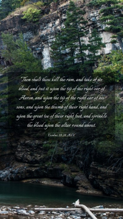 Picture 03 - Exodus 29:20 ASV Mobile Phone Wallpaper - Then shalt thou kill the ram, and take of its - Mobile Bible Verse Wallpaper