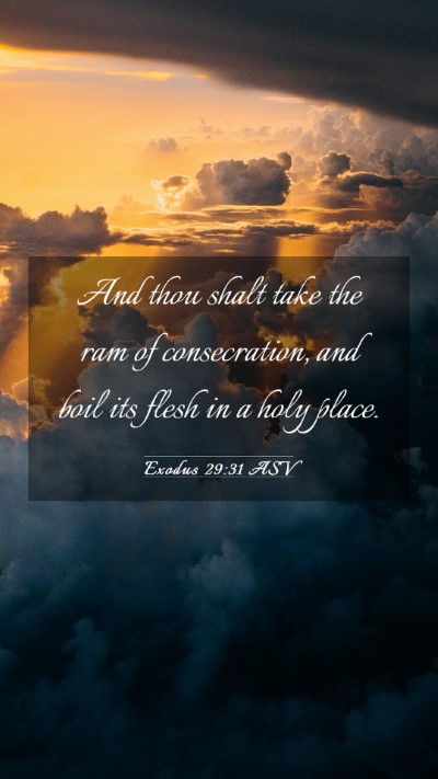 Picture 03 - Exodus 29:31 ASV Mobile Phone Wallpaper - And thou shalt take the ram of consecration, and - Mobile Bible Verse Wallpaper