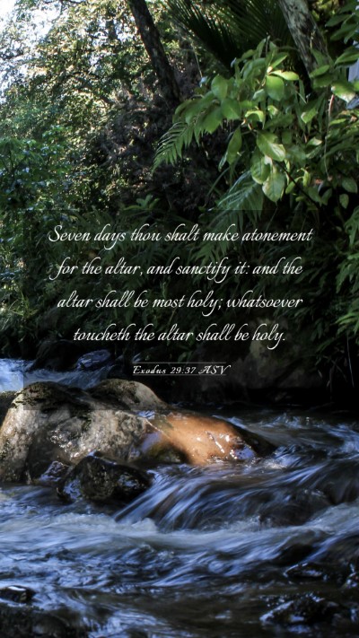 Picture 03 - Exodus 29:37 ASV Mobile Phone Wallpaper - Seven days thou shalt make atonement for the - Mobile Bible Verse Wallpaper
