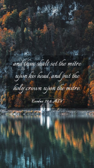 Picture 03 - Exodus 29:6 ASV Mobile Phone Wallpaper - and thou shalt set the mitre upon his head, and - Mobile Bible Verse Wallpaper