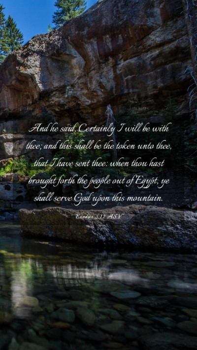 Picture 03 - Exodus 3:12 ASV Mobile Phone Wallpaper - And he said, Certainly I will be with thee; and - Mobile Bible Verse Wallpaper