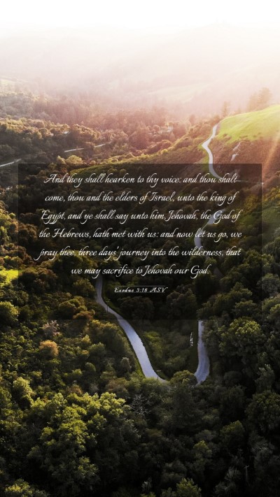 Picture 03 - Exodus 3:18 ASV Mobile Phone Wallpaper - And they shall hearken to thy voice: and thou - Mobile Bible Verse Wallpaper