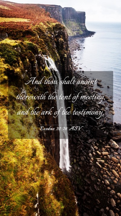 Picture 03 - Exodus 30:26 ASV Mobile Phone Wallpaper - And thou shalt anoint therewith the tent of - Mobile Bible Verse Wallpaper