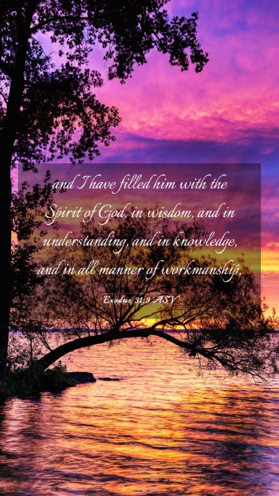 Picture 03 - Exodus 31:3 ASV Mobile Phone Wallpaper - and I have filled him with the Spirit of God, in - Mobile Bible Verse Wallpaper