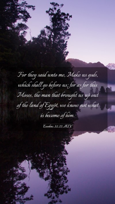 Picture 03 - Exodus 32:23 ASV Mobile Phone Wallpaper - For they said unto me, Make us gods, which shall - Mobile Bible Verse Wallpaper